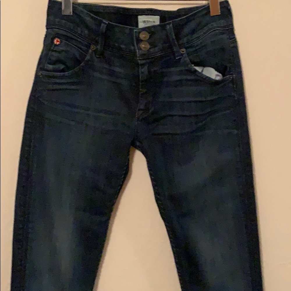 Hudson Collin Skinny